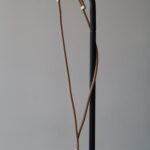 Шнурівка Cross-body Rope (beige) + прозора вставка